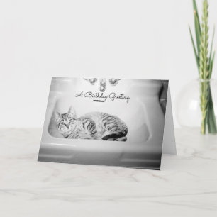 Cartes Pour Fêtes Annuelles Chat dans un évier, Rétro Kitten Anniversaire Feli