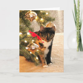 Cartes Pour Fêtes Annuelles Chat de calicot sous l'arbre de Noël, intérieur