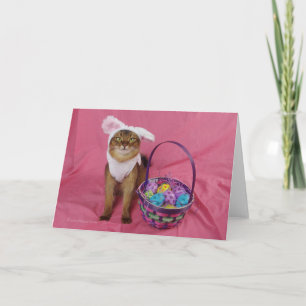 Cartes Pour Fêtes Annuelles Chat de houblon de Somalien de Pâques