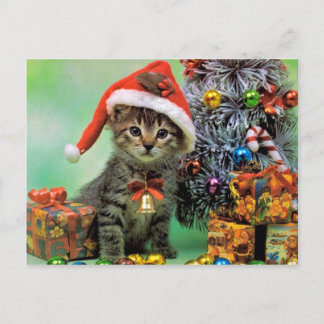 Cartes Pour Fêtes Annuelles Chat de Noël