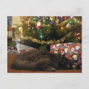 Cartes Pour Fêtes Annuelles Chat de Noël