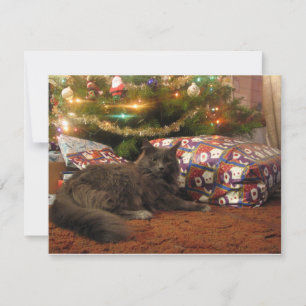 Cartes Pour Fêtes Annuelles Chat de Noël