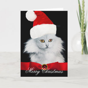 CARTES POUR FÊTES ANNUELLES CHAT DE NOËL BLANC AVEC CASQUETTE SANTA CLAUS