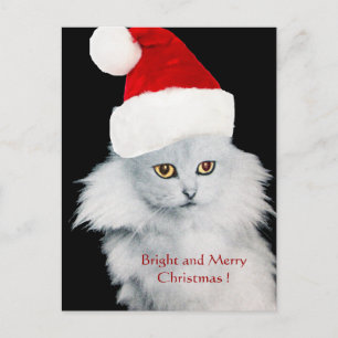 CARTES POUR FÊTES ANNUELLES CHAT DE NOËL BLANC AVEC CASQUETTE SANTA CLAUS