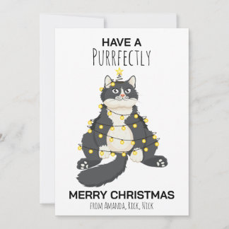Cartes Pour Fêtes Annuelles Chat de Noël drôle et festif Minimal Animalier