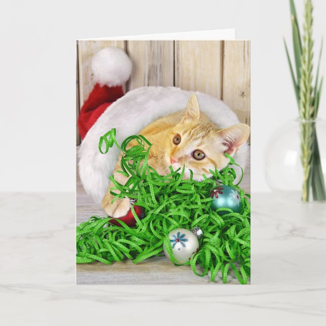 Cartes Pour Fêtes Annuelles Chat de Noël en casquette (Devant)