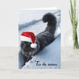 Cartes Pour Fêtes Annuelles Chat De Noël En Neige Profonde