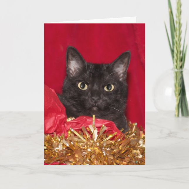 Cartes Pour Fêtes Annuelles Chat de Noël noir (Devant)