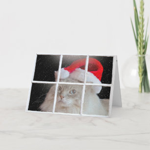 Cartes Pour Fêtes Annuelles Chat de poupée de Noël dans la fenêtre