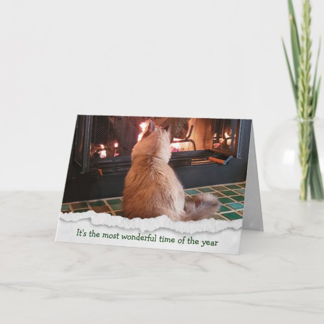 Cartes Pour Fêtes Annuelles Chat De Ragdoll De Noël Par Feu (Devant)
