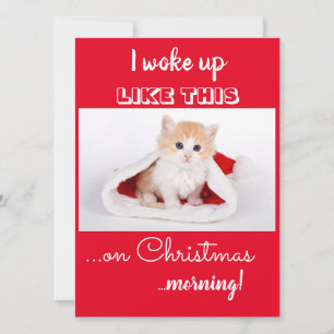 Cartes Pour Fêtes Annuelles Chat Drôle Je Me Suis Réveillé Comme Ça Noël Fête