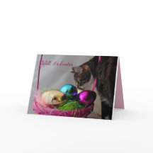 Chat drôle Pâques