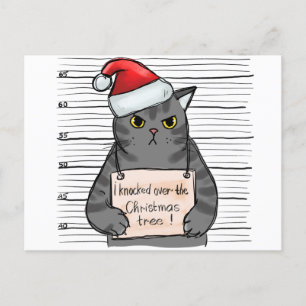 Cartes Pour Fêtes Annuelles Chat Drôle Que J'Ai Touché Sur L'Arbre De Noël