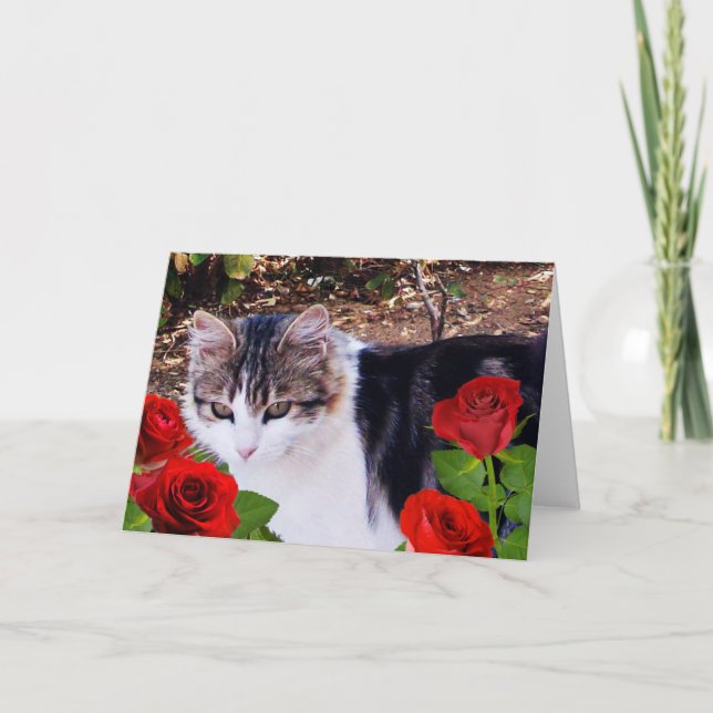 CARTES POUR FÊTES ANNUELLES CHAT DU JOUR DE VALENTINE AVEC ROSES ROUGES (Devant)
