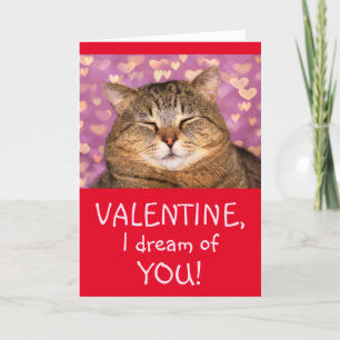 Cartes Pour Fêtes Annuelles Chat en amour pour la Saint Valentin