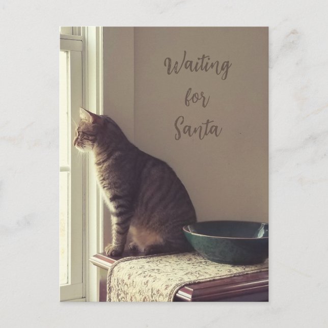 Cartes Pour Fêtes Annuelles Chat En Attente De Père Noël (Devant)
