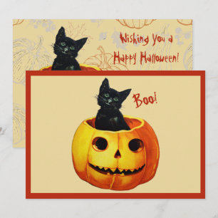 Cartes Pour Fêtes Annuelles Chat en Citrouille
