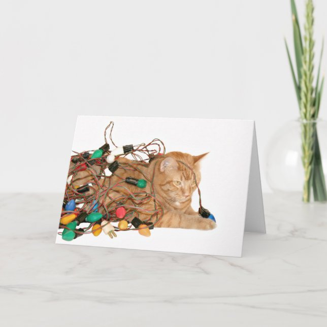 Cartes Pour Fêtes Annuelles Chat enchevêtré dans les lumières de Noël (Devant)