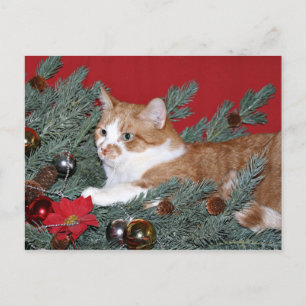 Cartes Pour Fêtes Annuelles Chat et sapin de Noël