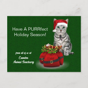 Cartes Pour Fêtes Annuelles Chat et Souris Fantastique Noël