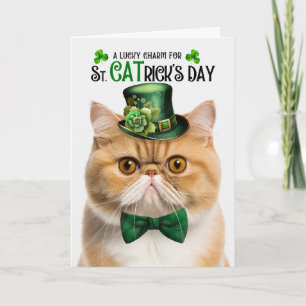 Cartes Pour Fêtes Annuelles Chat Exotic Shorthair St CATrick's Day Lucky Charm