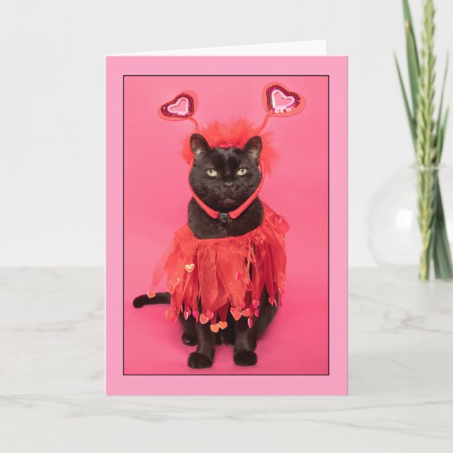 Cartes Pour Fêtes Annuelles Chat Heureuse Sainte-Valentin mignon habillé dans  (Devant)