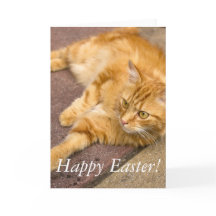 Chat heureux de gingembre de Pâques