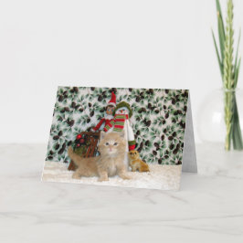 Cartes Pour Fêtes Annuelles Chat, Kitten, Noël, Secourt, Photo