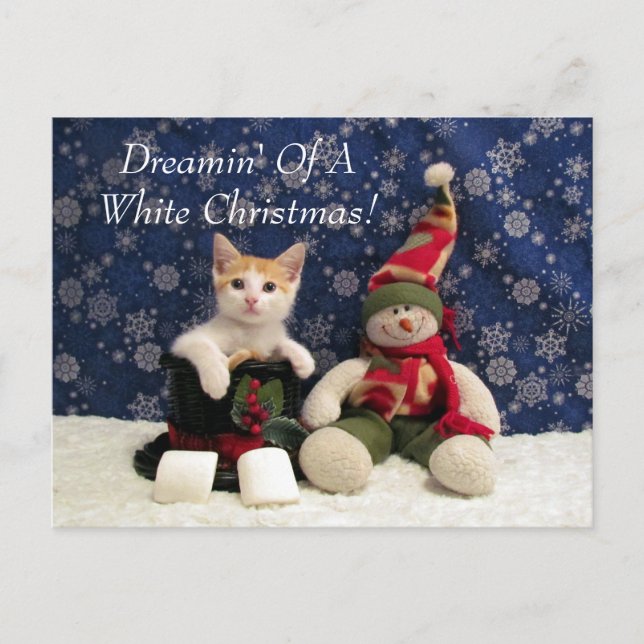 Cartes Pour Fêtes Annuelles Chat, Kitten, Noël, Secourt, Photo (Devant)