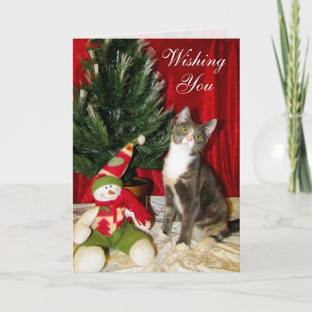 Cartes Pour Fêtes Annuelles Chat, Kitten, Noël, Secourt, Photo (Devant)