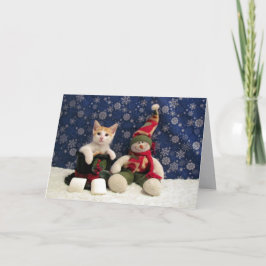Cartes Pour Fêtes Annuelles Chat, Kitten, Noël, Secourt, Photo