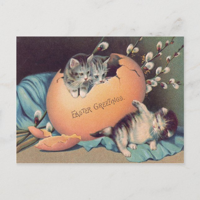 Cartes Pour Fêtes Annuelles Chat Kitten Oeuf de Pâques Coton (Devant)