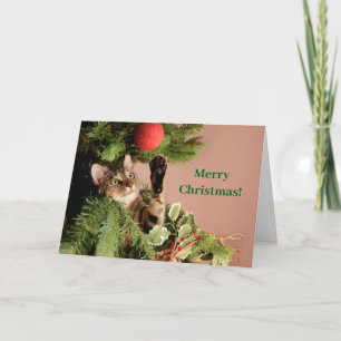 Cartes Pour Fêtes Annuelles Chat Kitten vert amusant dans un arbre de Noël