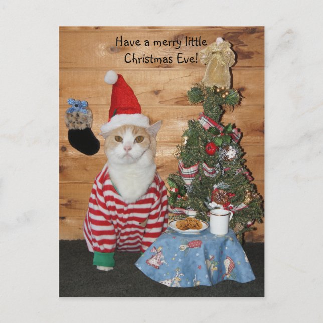 Cartes Pour Fêtes Annuelles Chat/Kitty de Noël en JP (Devant)