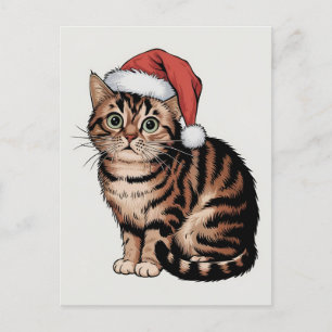 Cartes Pour Fêtes Annuelles Chat mignon avec casquette de noël