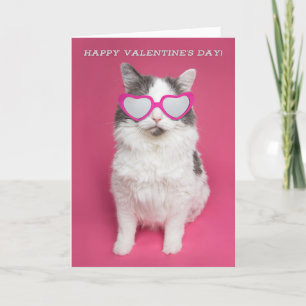 Cartes Pour Fêtes Annuelles Chat mignon Heureuse Sainte-Valentin en lunettes d