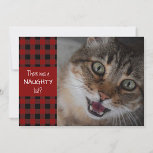 Cartes Pour Fêtes Annuelles Chat Naughty ou Nice Red Plaid MEOWY NOËL