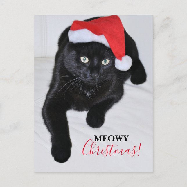 Cartes Pour Fêtes Annuelles Chat noir avec chapeau de Père Noël Rouge (Devant)