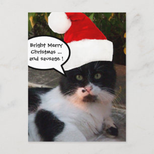 CARTES POUR FÊTES ANNUELLES CHAT NOIR BLANC AVEC CASQUETTE SANTA CLAUS