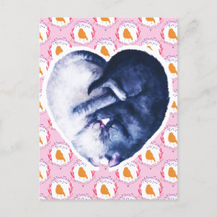Cartes Pour Fêtes Annuelles Chat noir blanc oiseau amour aquarelle