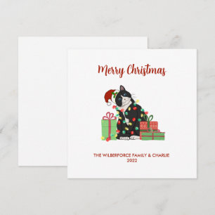 Cartes Pour Fêtes Annuelles Chat noir drôle et lumières Noël