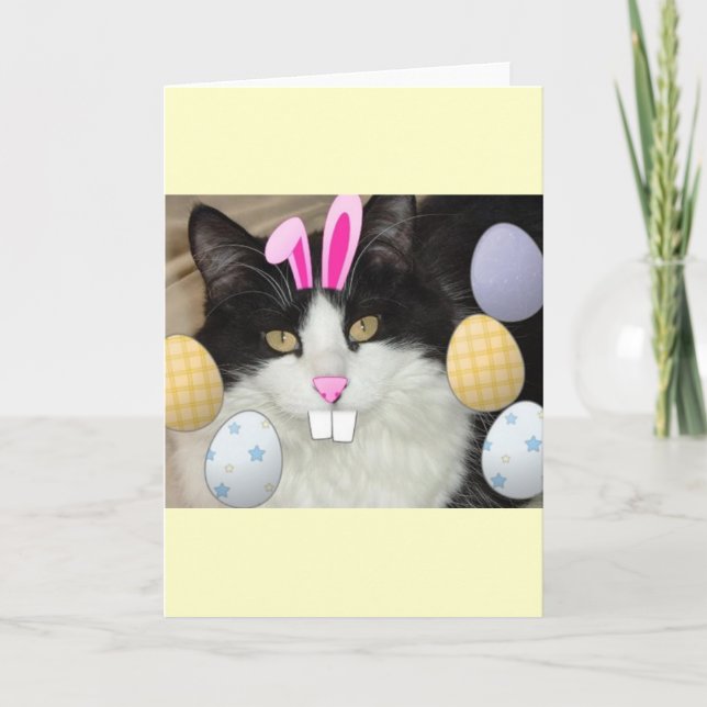 Cartes Pour Fêtes Annuelles Chat noir et blanc de l'Est (Devant)