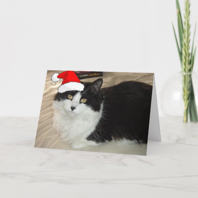 Cartes Pour Fêtes Annuelles Chat noir et blanc de Noël (Devant)