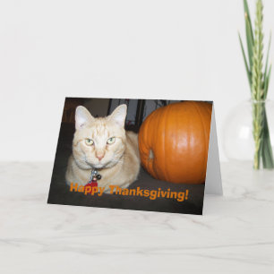 Cartes Pour Fêtes Annuelles Chat Orange avec Bon thanksgiving Citrouille