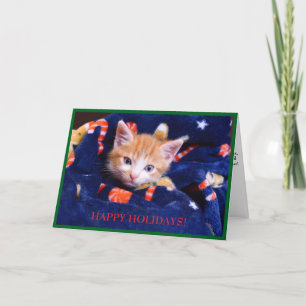 Cartes Pour Fêtes Annuelles Chat orange couverture bleue