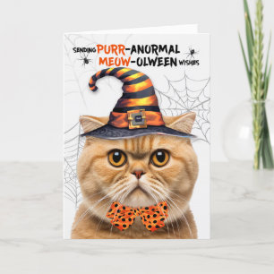 Cartes Pour Fêtes Annuelles Chat orange PURRanormal MEOWolween écossais Pold