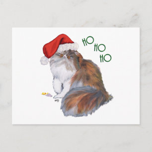 Cartes Pour Fêtes Annuelles Chat Persan Calico Noël