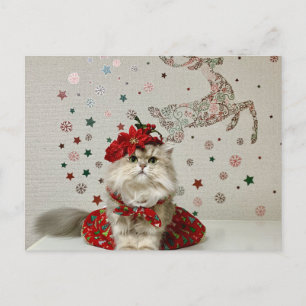 Cartes Pour Fêtes Annuelles Chat persan de Noël mignon