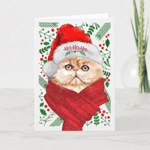 Cartes Pour Fêtes Annuelles Chat perse dans un chapeau de Noël Meowy