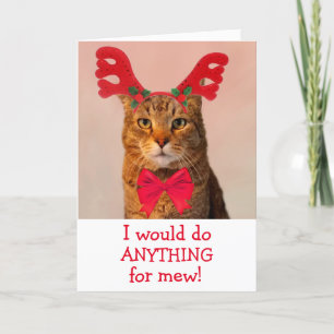 Cartes Pour Fêtes Annuelles Chat Reindeer dans l'amour Noël